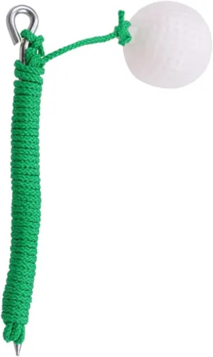 BESPORTBLE Golf Training Aid Ball Portable Practice Ball Golf Trainer Golf Swing Training Use Golfs Outdoor Soft Equipment Flex Golf Swing Strength Elastic Rope Golfing Swing Train Tool Metal