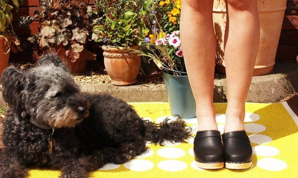 Swedish Classic Clog Mule for Women | Low Heel Slip-on Wooden Clogs Handmade in Sweden | Supportive Wood Base and Genuine Leather | Black